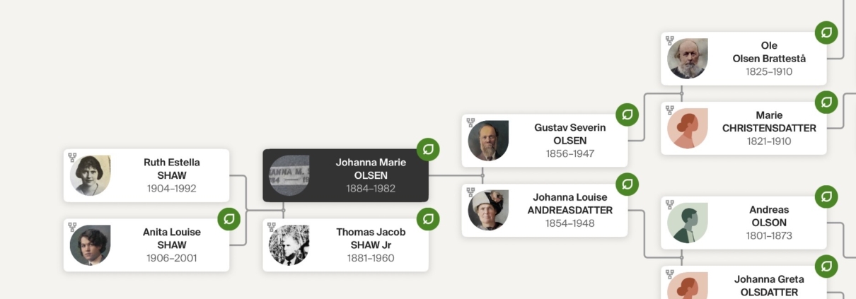 Anita, Ruth Shaw Family Tree